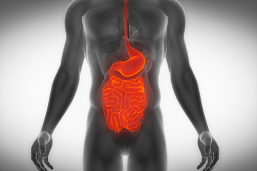 Neoplasie neuroendocrine gastroenteropancreatiche: ruolo dell’alfa-fetoproteina