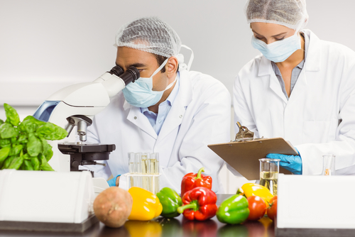 Ultraprocessati e salute: cosa dicono davvero gli studi osservazionali (e cosa non possono dimostrare)