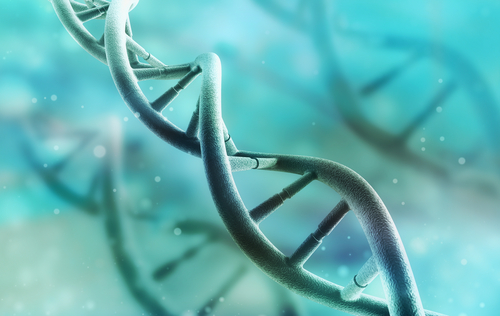 Carcinoma ovarico ed endometriosi: il possibile ruolo del carico mutazionale cumulativo