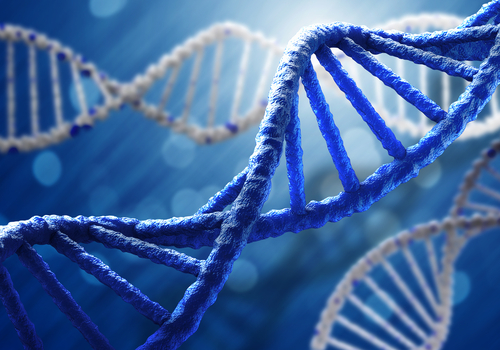 Sindrome del lungo QT: identificata mutazione de novo nel gene KCNH2