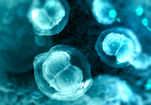 ESHRE 2026, oltre la predittività: come sta cambiando la medicina della riproduzione