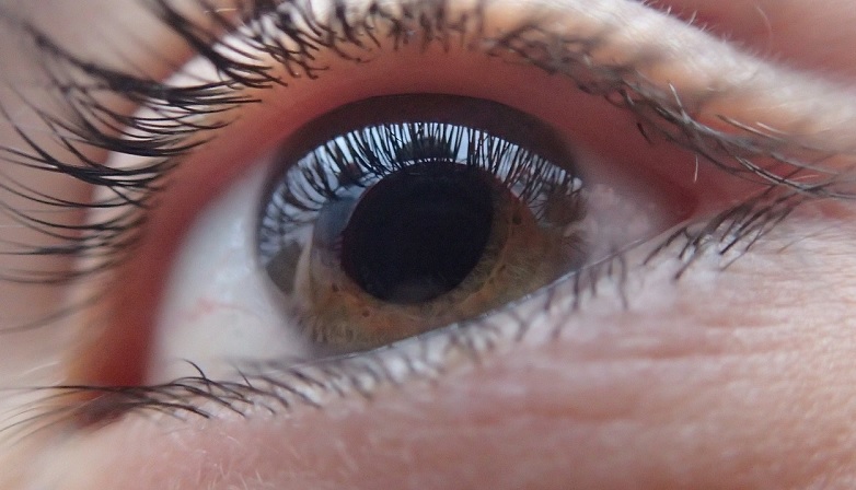 Cieca, torna a vedere grazie ad un trapianto di una parte della retina e del segmento anteriore da un occhio all’altro. Prima volta al mondo, presso le Molinette di Torino