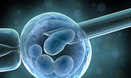 ESHRE 2026, oltre la predittività: come sta cambiando la medicina della riproduzione