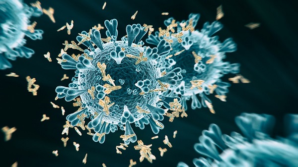 Cancro del colon-retto trattato con anticorpi monoclonali anti-EGFR: rischio di infezioni di alto grado