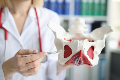 Riabilitazione del pavimento pelvico: un supporto concreto per i sopravvissuti al cancro