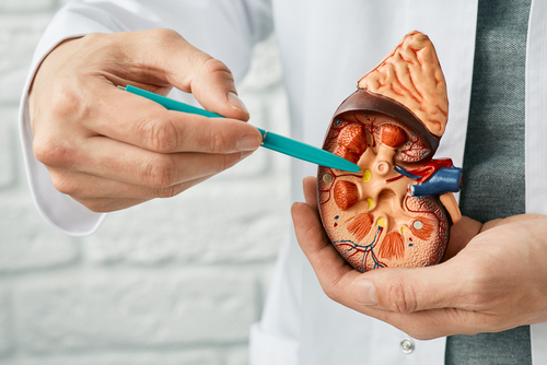 rPNET negli adulti: revisione sistematica su diagnosi e strategie terapeutiche