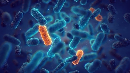 Intelligenza artificiale e medicina di precisione per combattere l’antibiotico-resistenza. Lo studio italiano