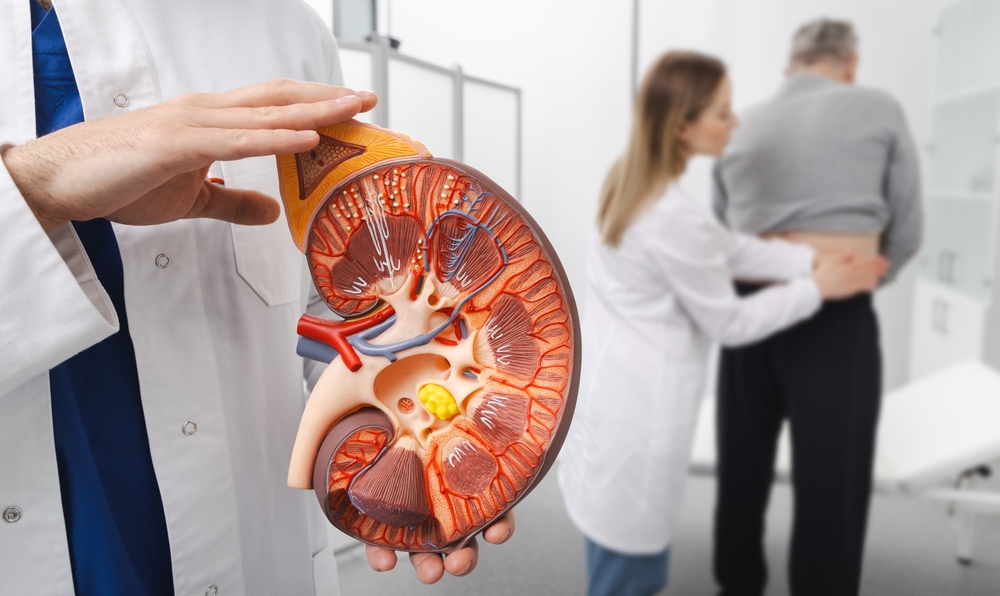 Malattia renale cronica, creatinina e cistatina C insieme migliorano diagnosi e rischio