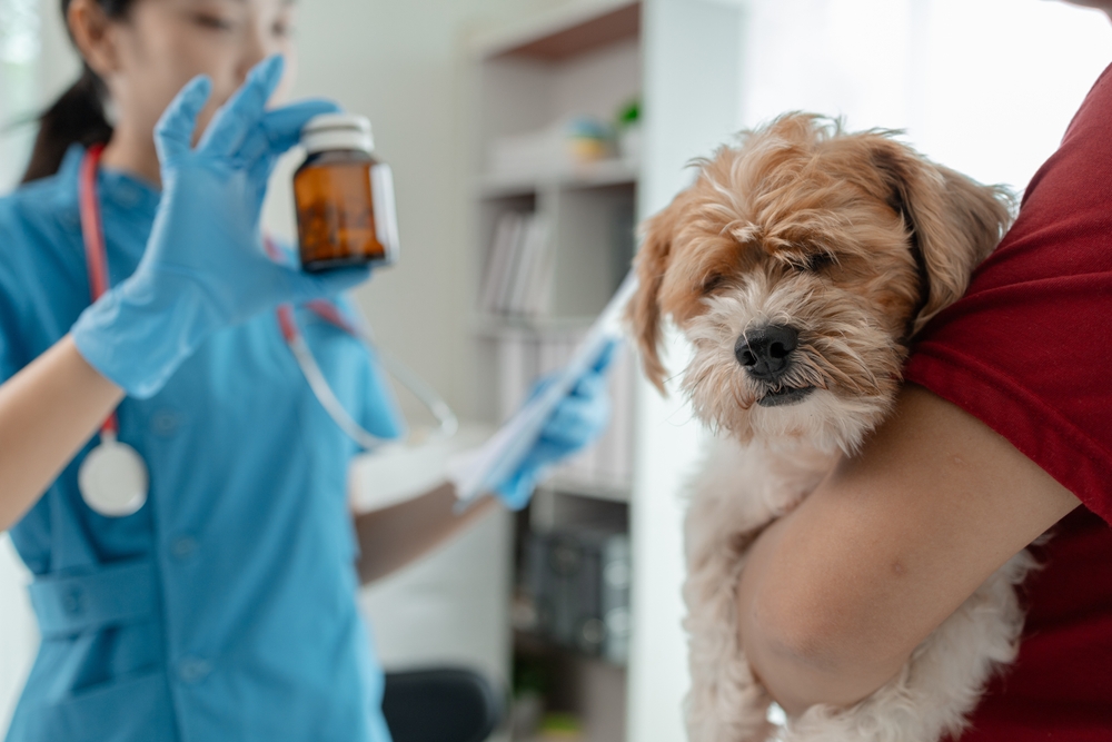 Medicinali veterinari. Dal CVMP di Ema tre pareri favorevoli per vaccini felini e uno stop a un farmaco per cavalli