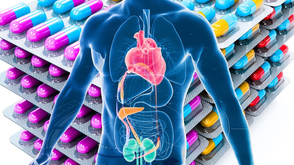 Cuore, reni e metabolismo. La sindrome che colpisce 11 milioni di italiani. A Stoccolma il simposio sulle nuove linee guida americane