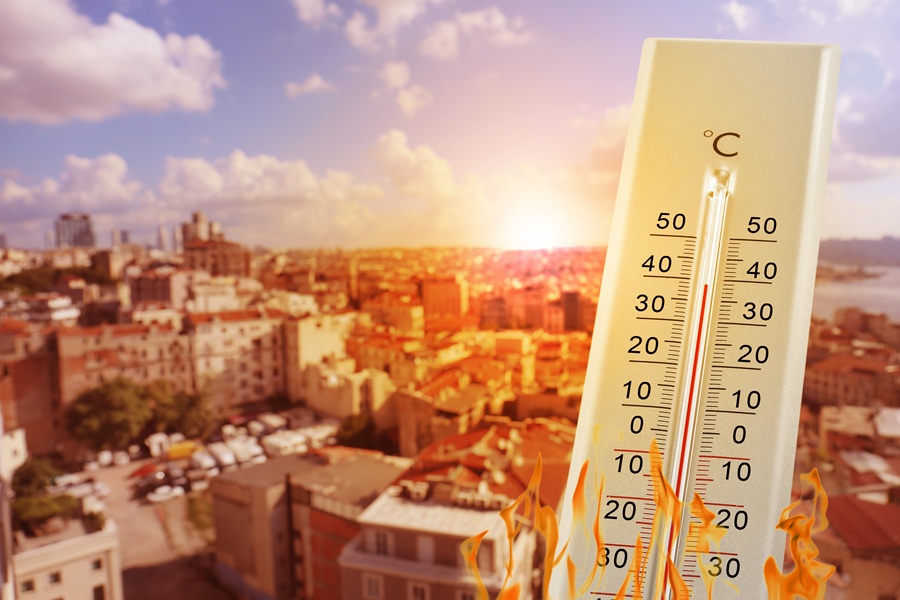 Caldo estremo, l’allarme dell’Oms: l’Europa si riscalda più del resto del mondo