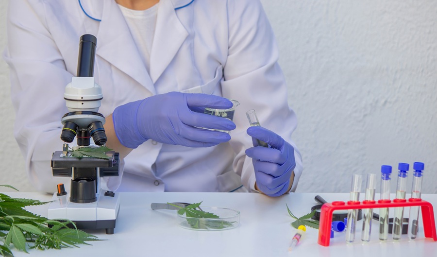 Cannabis medica, meno agitazione nei pazienti con demenza avanzata