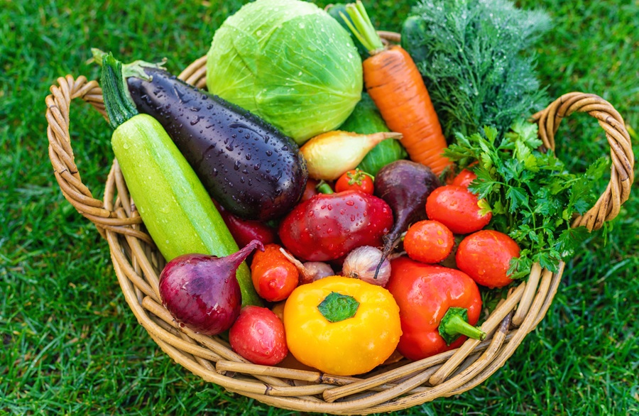 I giovani mangiano pochi alimenti vegetali sani