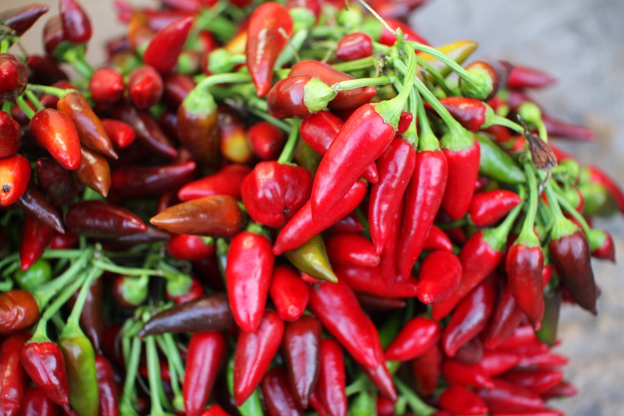 Peperoncino sotto esame: rischio di tumori gastrointestinali più alto del 64%