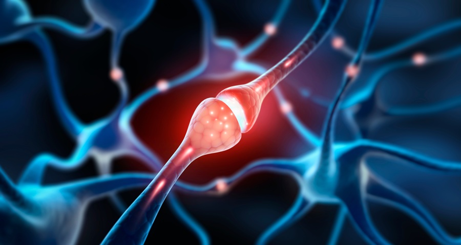 Epilessia, identificata una nuova via biologica coinvolta nelle crisi