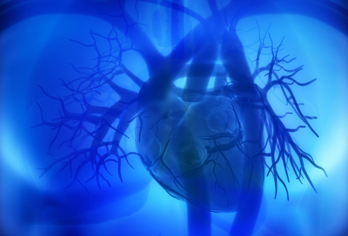 Metabolomica: differenze plasmatiche tra calcificazione coronarica e sindrome coronarica cronica